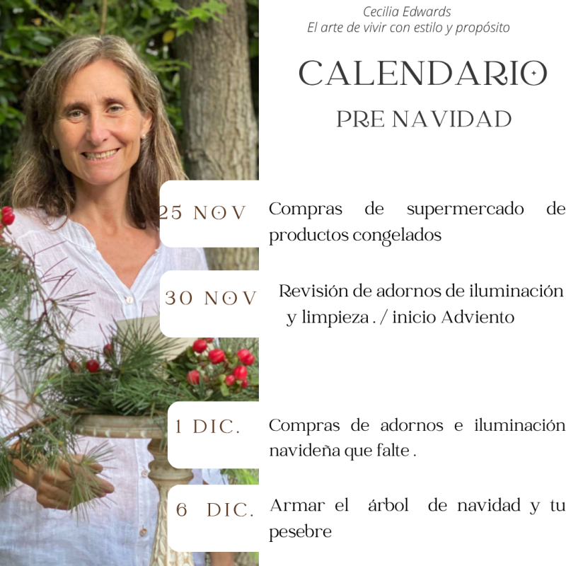 Desde el 25 de noviembre al 6 de diciembre 
